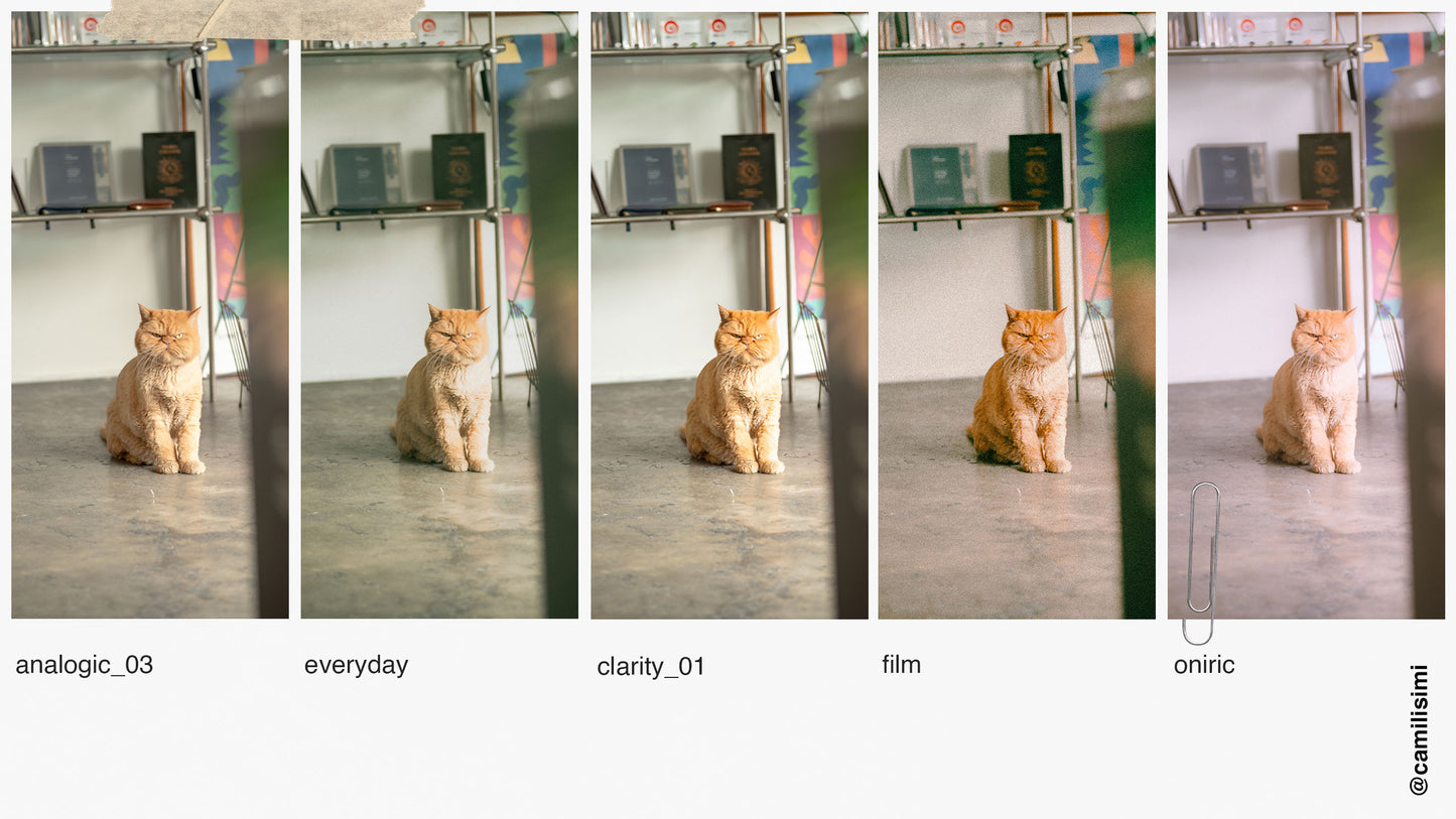 Visual Diary | Lightroom Presets Pack (mobile + desktop)